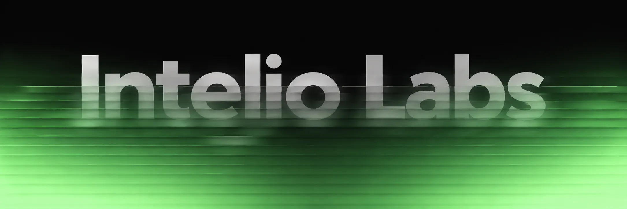 Intelio Labs team building modern websites, software and AI products